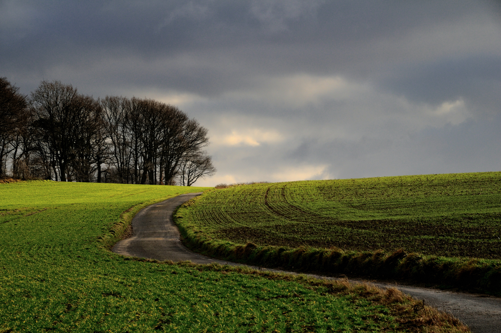 Auf dem Weg zum Frühling