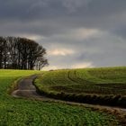 Auf dem Weg zum Frühling