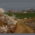 AUF DEM WEG ZUM GELBEN HAUS