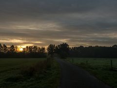 Auf dem Weg zum Gildehauser Venn