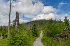 Bayerischer Wald