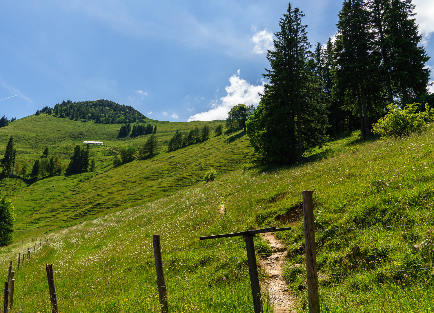 Auf dem Weg zum Gipfel