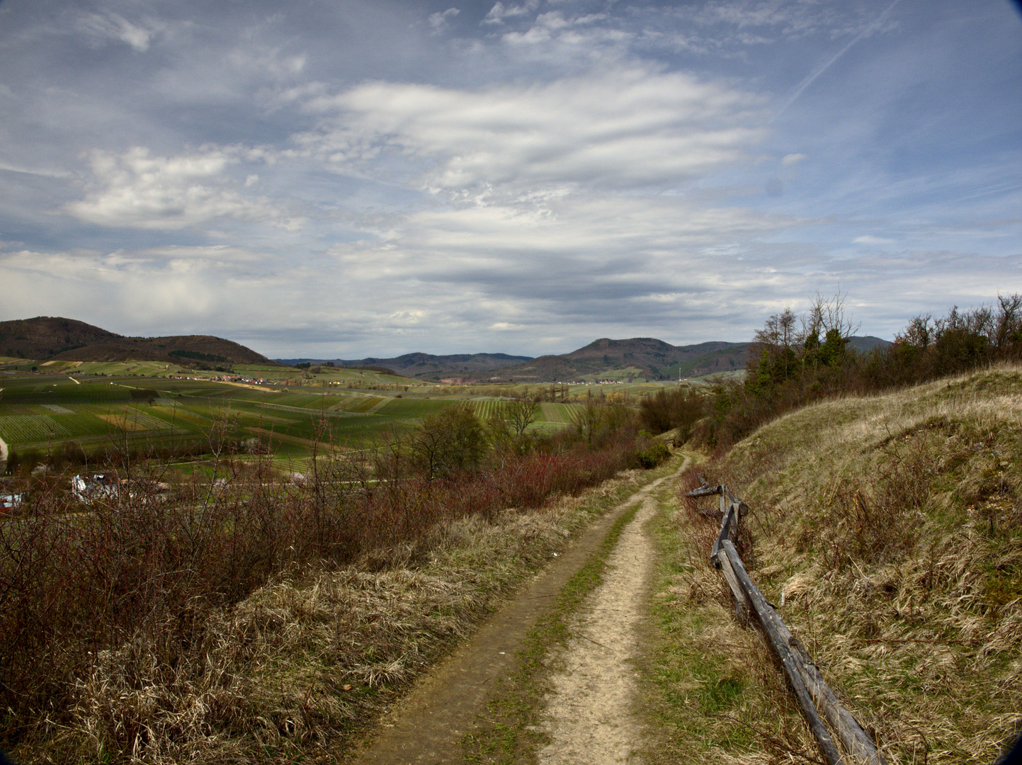 Auf dem Weg zum Gipfel des Kleinen Kalmit in Ilbesheim/Pfalz