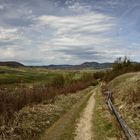 Auf dem Weg zum Gipfel des Kleinen Kalmit in Ilbesheim/Pfalz