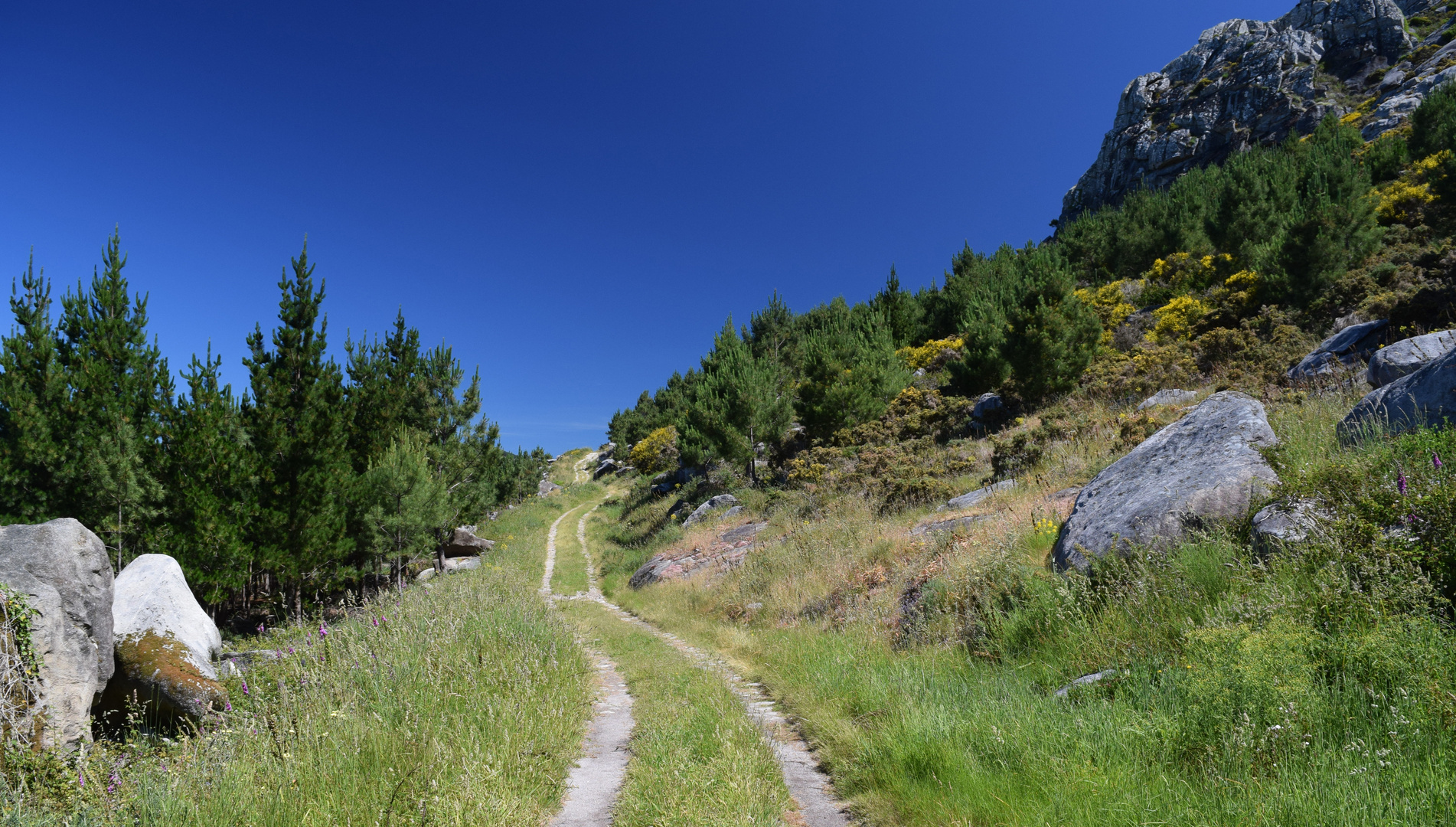 Auf dem Weg zum Gipfel des Monte Louro