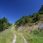 Auf dem Weg zum Gipfel des Monte Louro