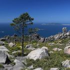 Auf dem Weg zum Gipfel des Monte Pindo