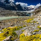 Auf dem Weg zum Gletscher 