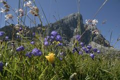 Auf dem Weg zum Gömmajoch