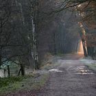 Auf dem Weg zum goldenen Horizont