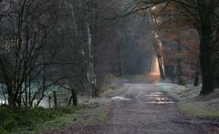 Auf dem Weg zum goldenen Horizont