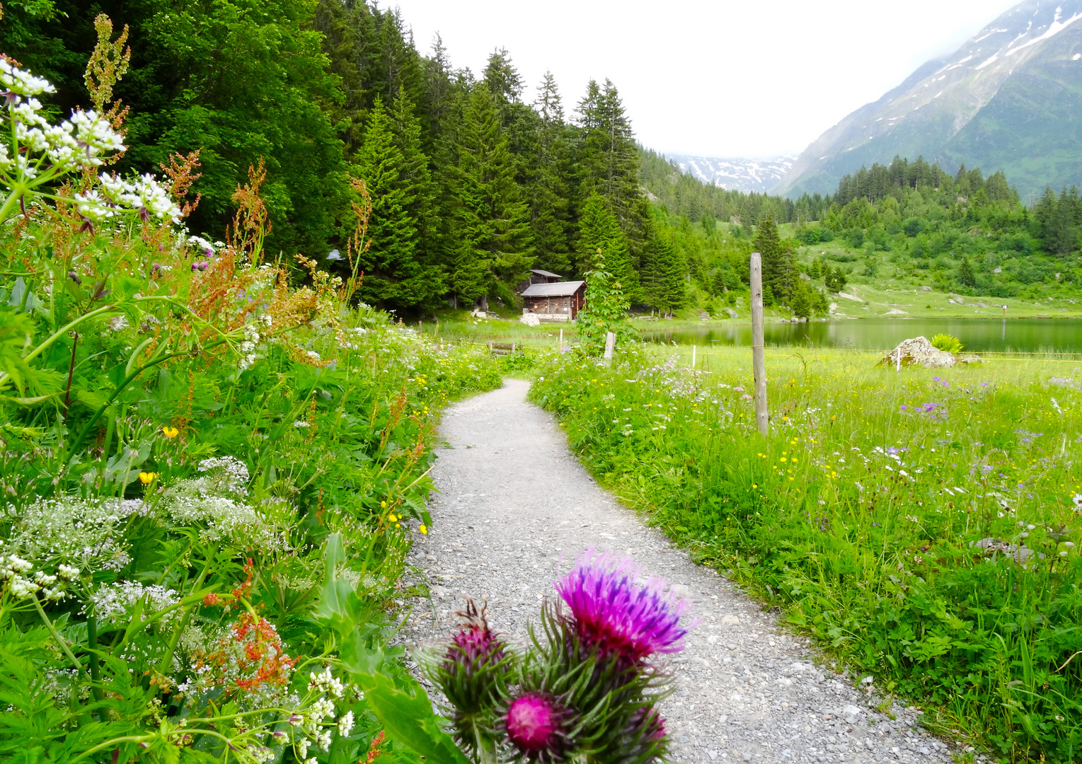 auf dem Weg zum Golzernsee