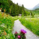 auf dem Weg zum Golzernsee