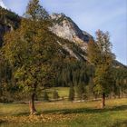 Auf dem Weg zum "Großen Ahornboden"...