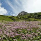 Auf dem Weg zum Großglockner.