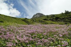 Auf dem Weg zum Großglockner.