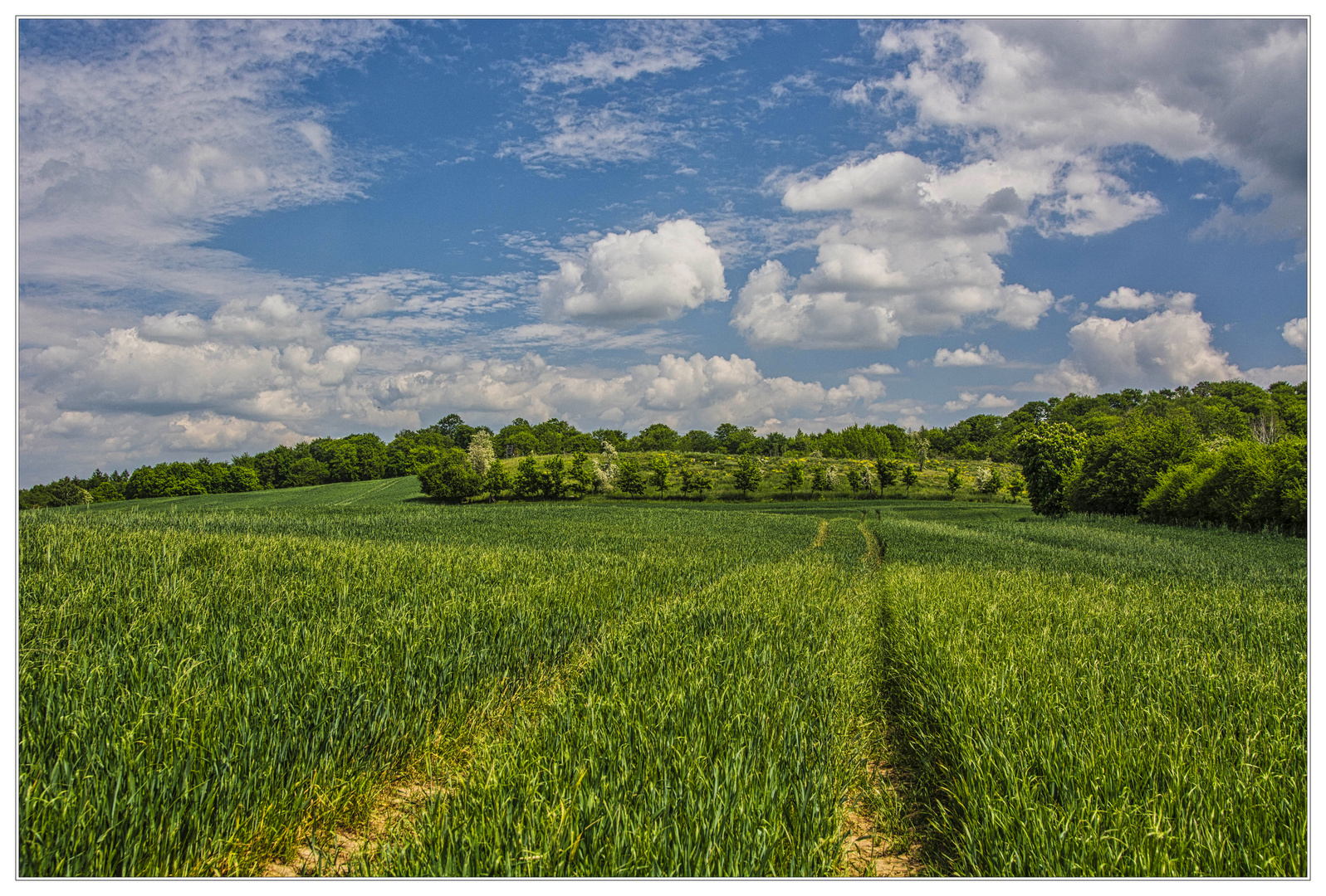 Auf dem Weg zum Helpter Berg