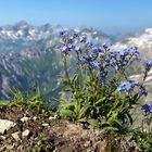 Auf dem Weg zum Hochvogel