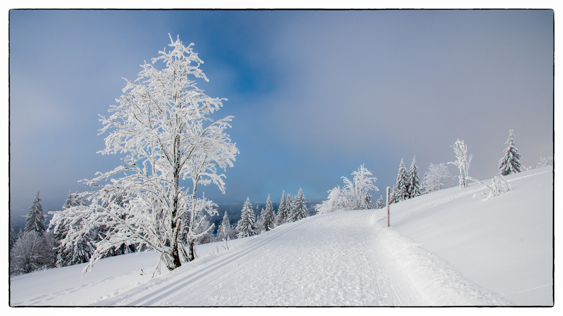 Auf dem Weg zum höchsten Gipfel im Schwarzwald