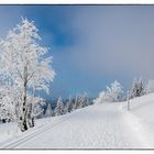 Auf dem Weg zum höchsten Gipfel im Schwarzwald