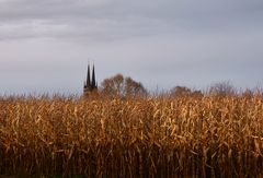 Auf dem Weg zum Hofladen