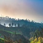 Auf dem Weg zum Ijen-Krater