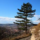 Auf dem Weg zum Jenzig 2