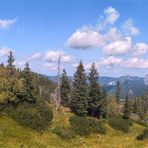 Auf dem Weg zum Kasberggipfel