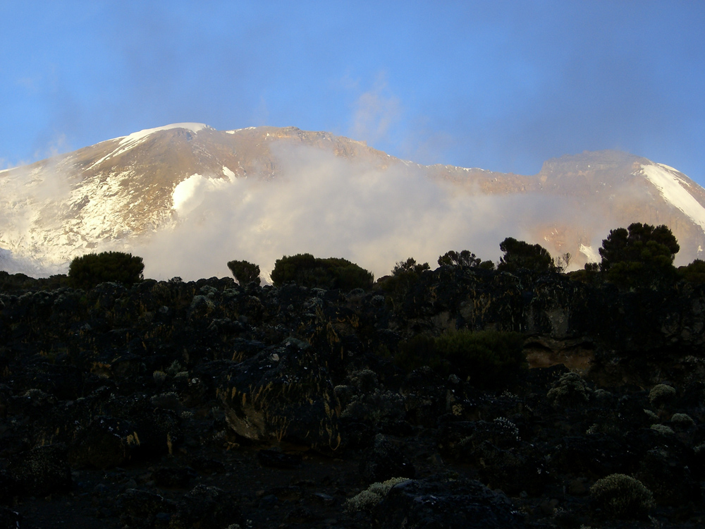 Auf dem Weg zum Kilimanjaro