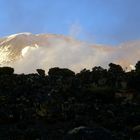 Auf dem Weg zum Kilimanjaro