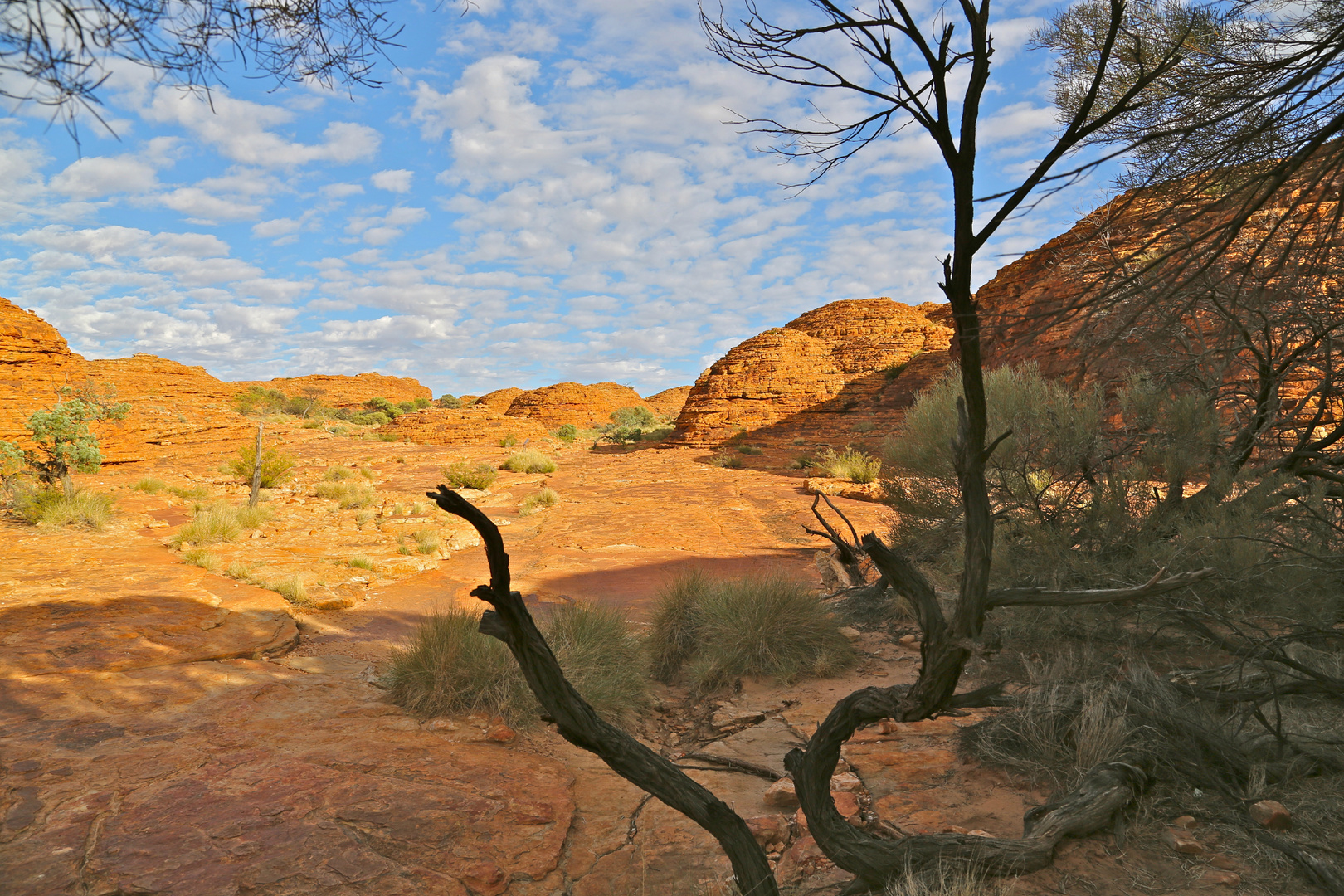 Auf dem Weg zum Kings Canyon