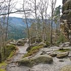 Auf dem Weg zum Kuhstall in der sächsischen Schweiz...