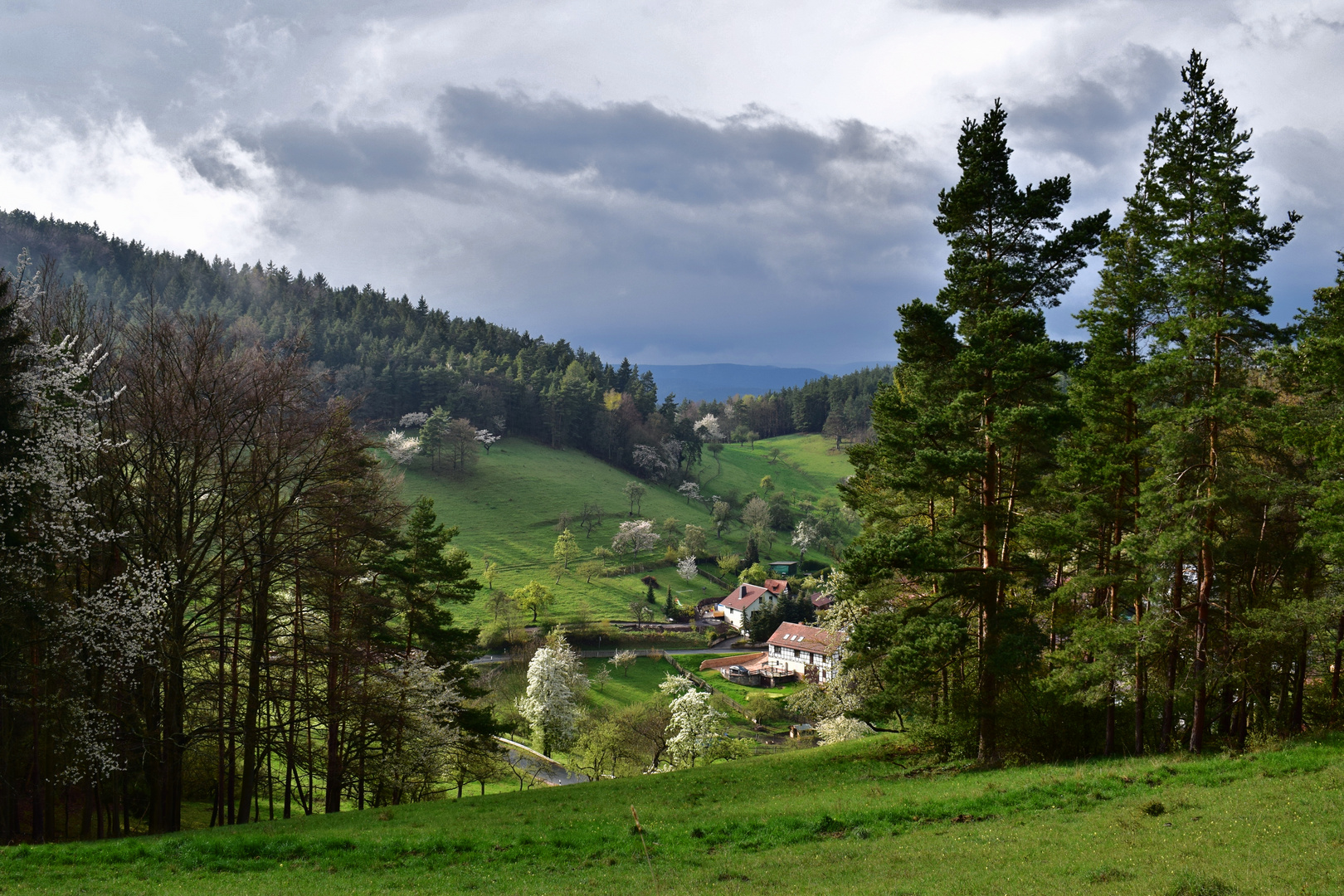 Auf dem Weg zum Kulmberg, Thüringen