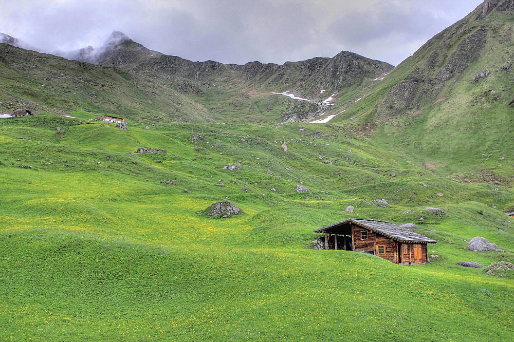 Auf dem Weg zum Lappacher Jöchl