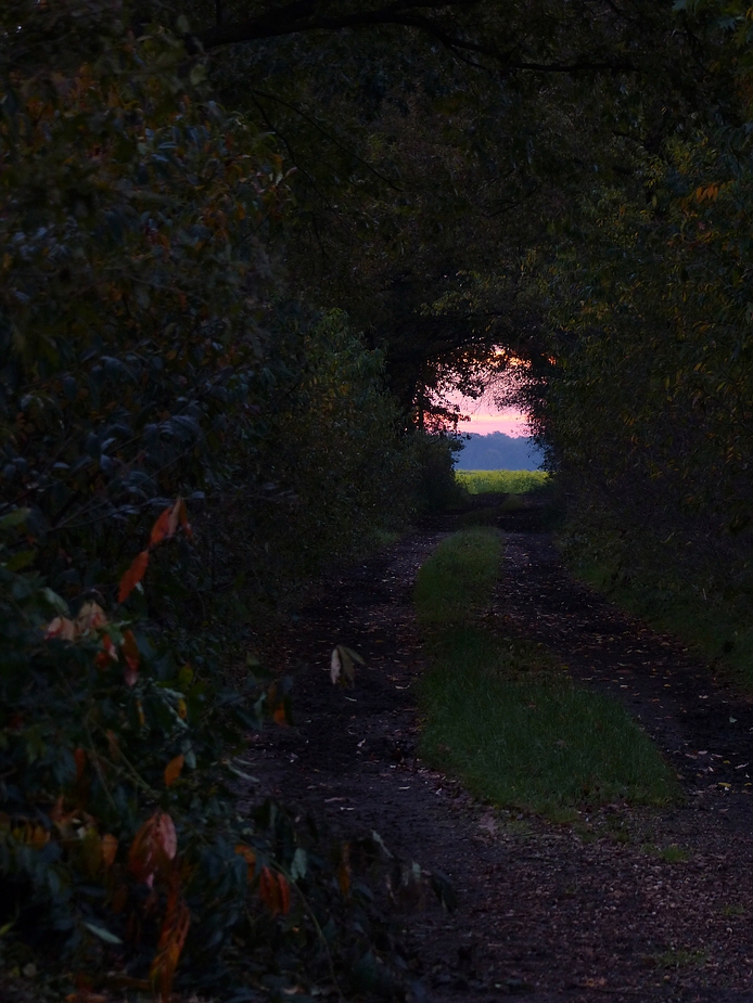 Auf dem Weg zum Licht