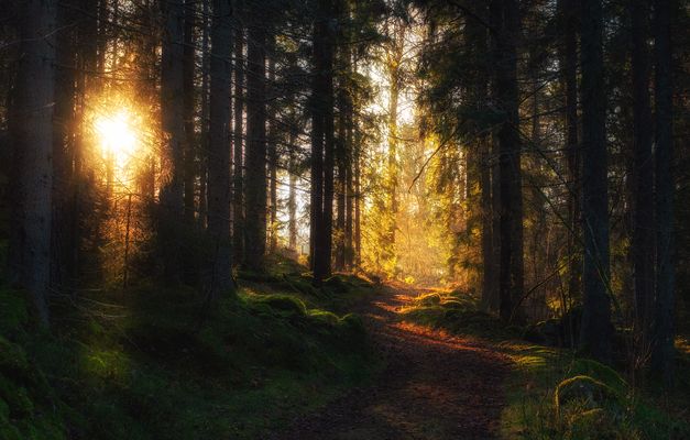 Auf dem Weg zum Licht