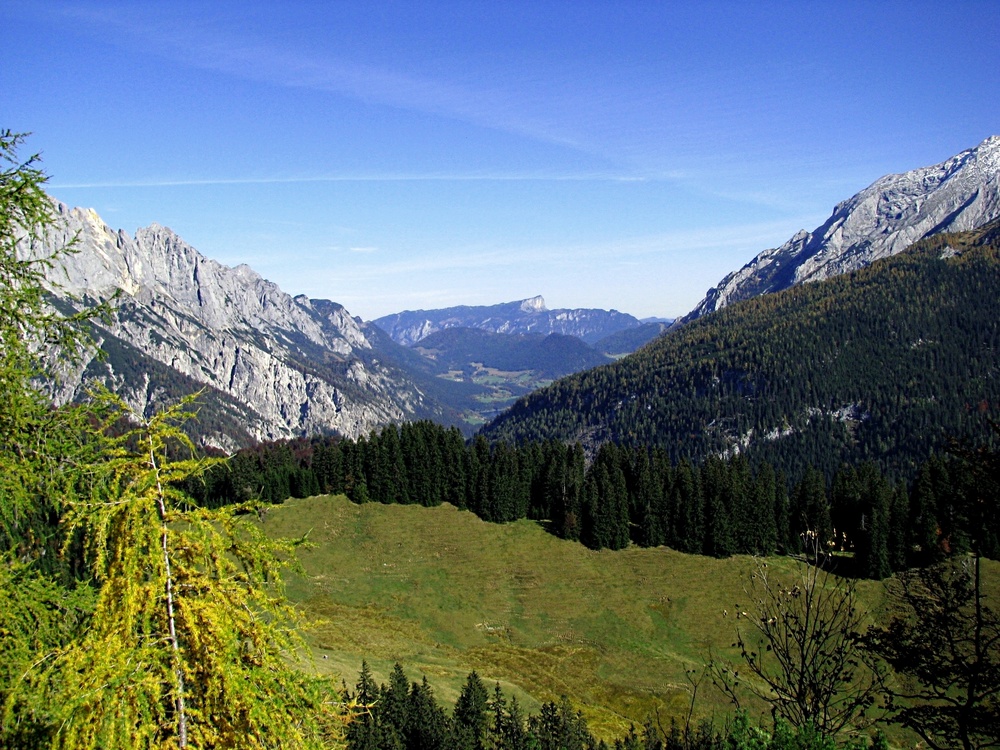 ....auf dem Weg zum Litzlkogel