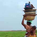 Auf dem Weg zum Markt, Benin