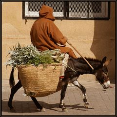 Auf dem Weg zum Markt...