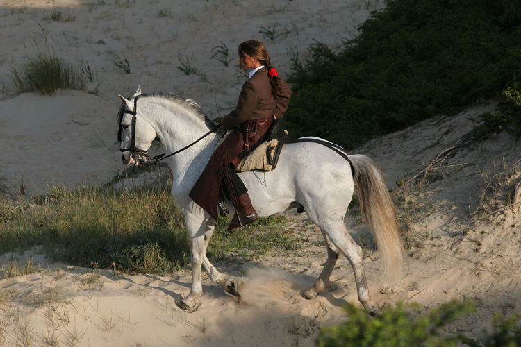 Auf dem Weg zum Meer