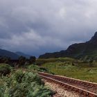 auf dem Weg zum Meer durch die Highlands