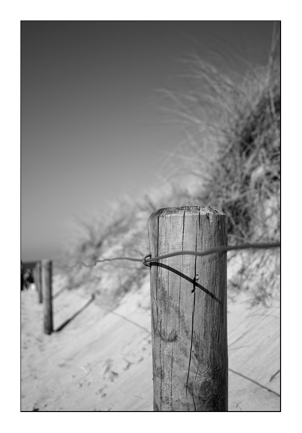 Auf dem Weg zum Meer II