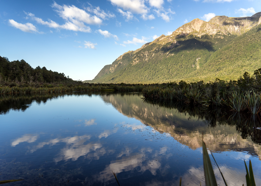 Auf dem Weg zum Milford Sound