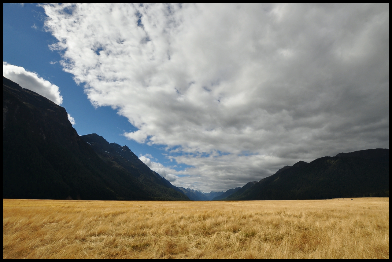 Auf dem Weg zum Milford Sound