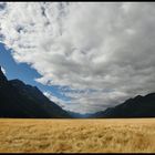 Auf dem Weg zum Milford Sound