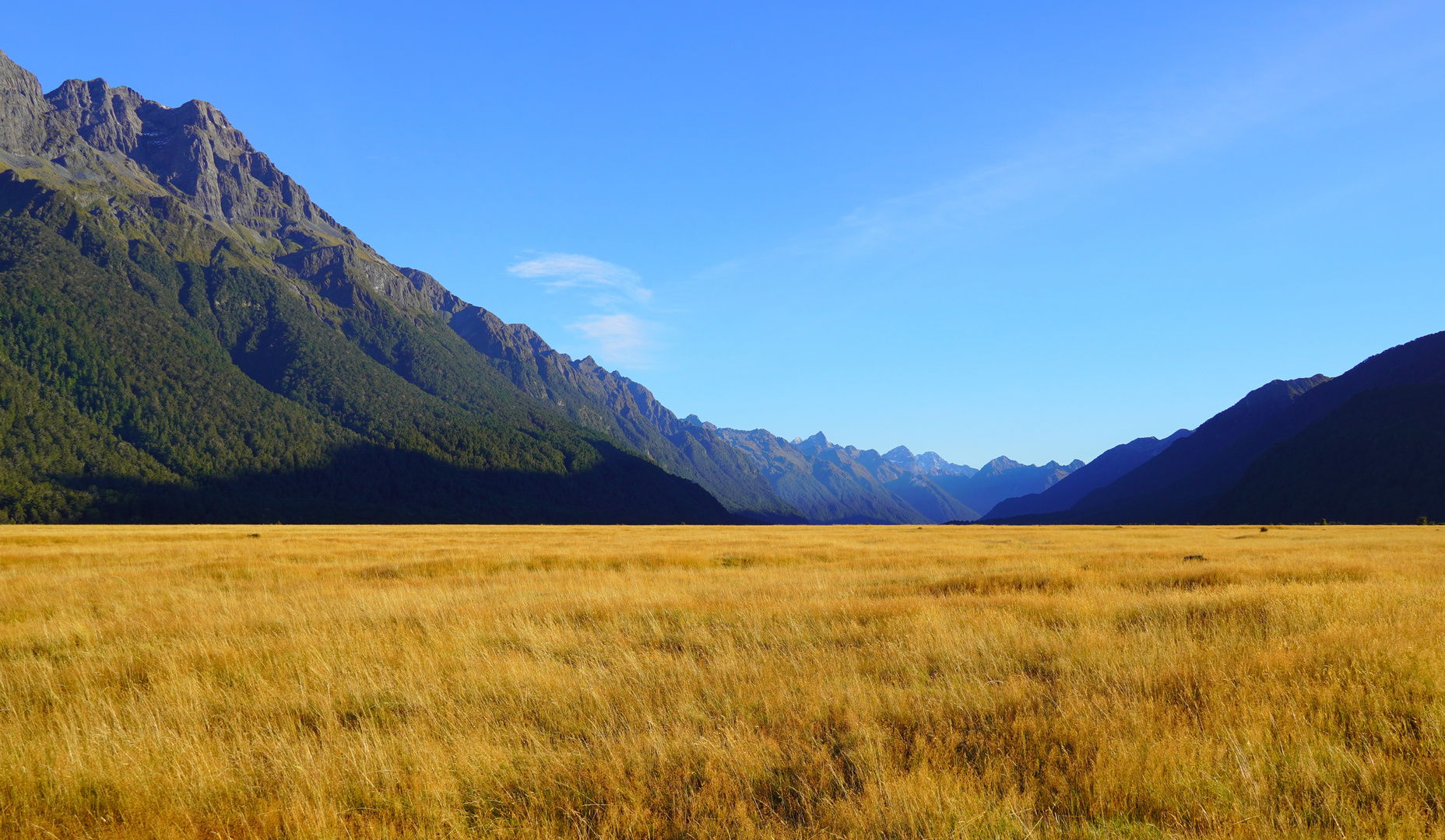 Auf dem Weg zum Milford Sound in Neuseeland