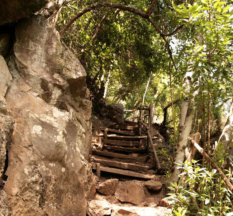 Auf dem Weg zum Mirador de los Barandas