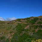 Auf dem Weg zum Miradouro do Paredão / Madeira