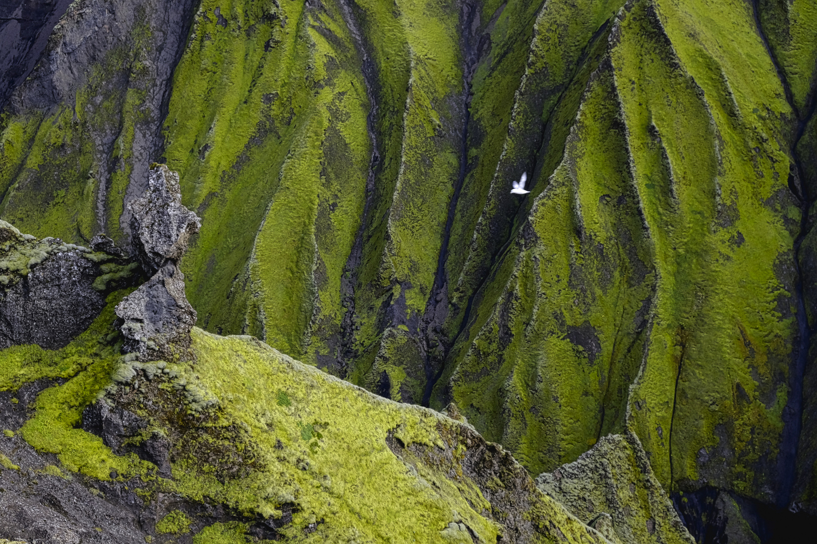 Auf dem Weg zum Mýrdalsjökull