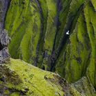 Auf dem Weg zum Mýrdalsjökull